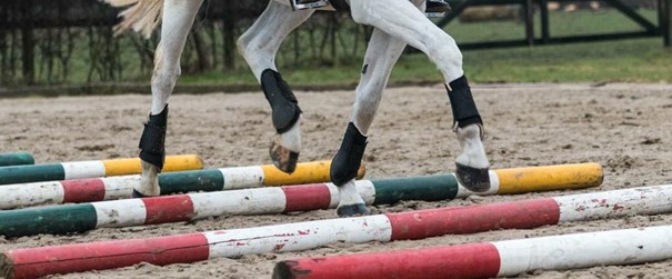 cavaletti training met je paard